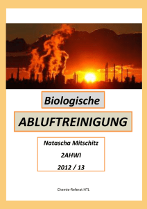 Abluftreinigung - Natascha Mitschitz