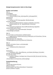 Biologie Kompetenzmatrix (Seite 1), Nina Krüger Struktur