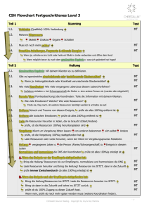 DE FLOWCHART CSH (fortgeschritten) Level 3-neu
