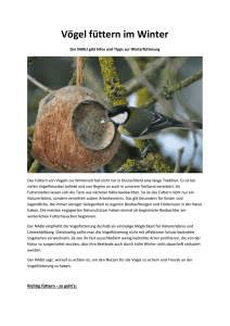 Vögel füttern im Winter - NABU Weiskirchen