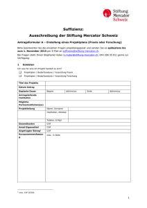 Antragsformular A - Stiftung Mercator Schweiz