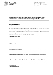 das Schlussbericht-Formular - Gesundheitsförderung Kanton Zürich