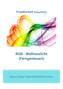 RGB - Wellnesslicht (Ferngesteuert)