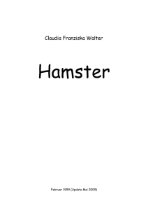 Hamster - Diese Seite ist nicht mehr (so richtig) verfügbar