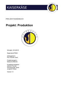 Projekthandbuch
