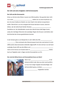 Der Zoll und seine Aufgaben, Vertiefungsmaterial PS