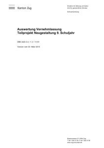 2013-03: Projekt Sek I plus. Weiteres Vorgehen