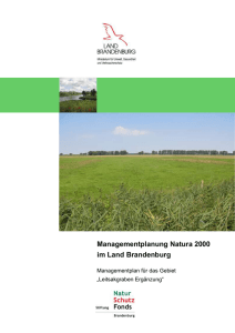 Managementplanung Natura 2000 im Land