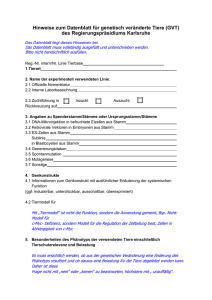 Anleitung Datenblatt GVT Regierungspräsidium Karlsruhe