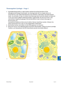 Cytologie 1