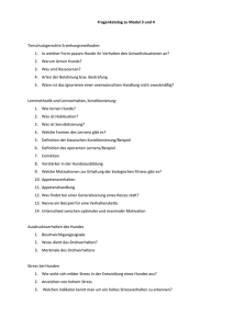 Fragenkatalog zu Modul 3 und 4