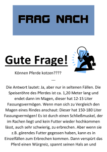 File - Zeitung Fragnach