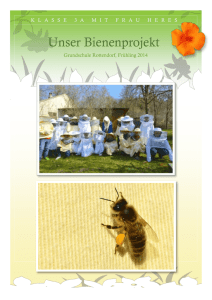 Unser Bienenprojekt 3a