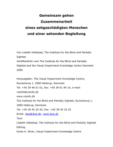 Ratschlag für die sehende Begleitung