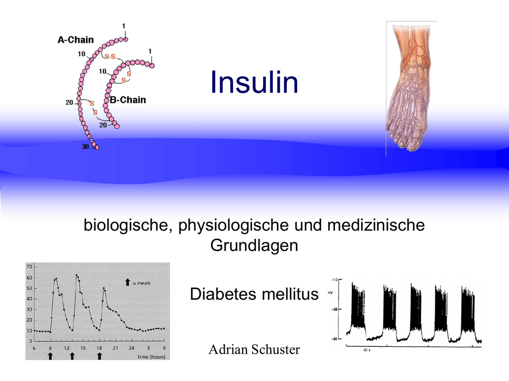 Diabetes Mellitus Risikofaktoren