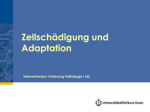 Internetversion: "Zellschädigung und Adaptation"