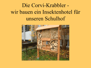 Die Corvi-Krabbler - wir bauen ein Insektenhotel für unseren