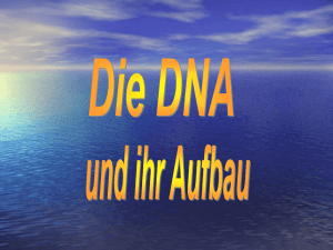 DNA Allgemein