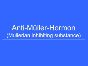Anti- Müller Hormon Mullerian inhibiting substance