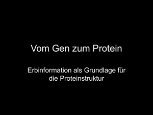 Vom Gen zum Protein