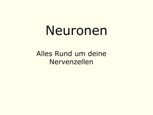 Neuronen - Ihre Homepage bei Arcor