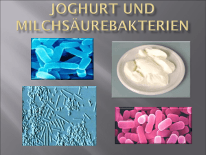Bakterien Joghurt und Milchsäurebakterien