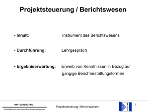 Projektsteuerung / Berichtswesen