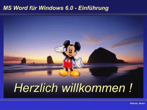 MS Word für Windows 6.0 - Einführung Text erstellen