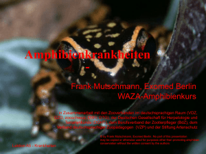 MutschmannKrankheiten (5,1 MiB)