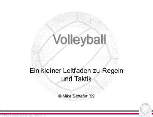 Volleyball - Mike Schäfer, Homepage