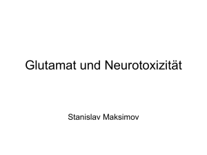 Glutamat und Neurotoxizität