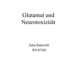 Glutamat und Neurotoxizität