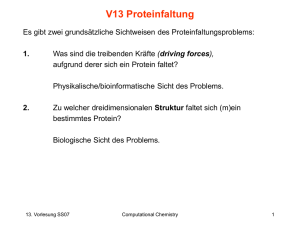 V13 Proteinfaltung