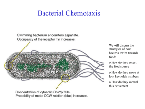 Bakterielle Chemotaxis