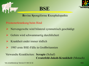 BSE-O