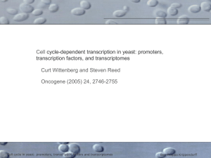 AG Schachprogrammierung FUSC