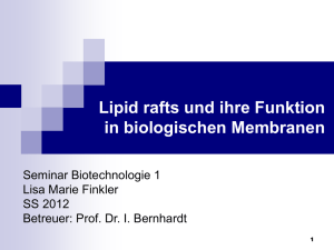 Seminar Biotechnologie 1 Lipid rafts und ihre Funktion in