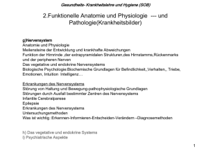 SOB 10_Kapitel 2.g - Nervensystem