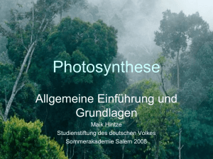 Was ist Photosynthese?