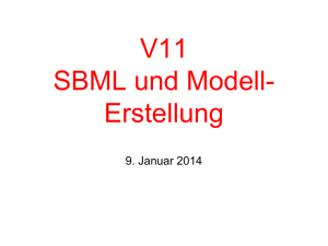 V11 SBML und Modell