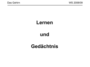 Lernen und Gedächtnis