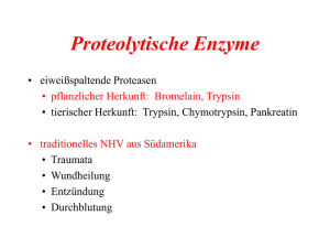 Proteolytische Enzyme in der Onkologie