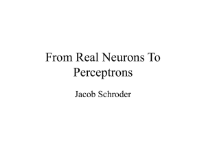 From Real Neurons To Perceptrons