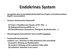 Endokrines System