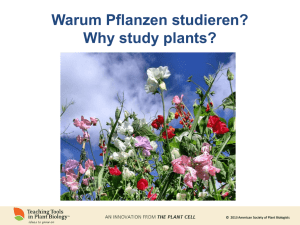 Warum Pflanzen studieren?
