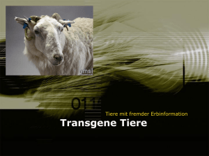 Transgene Tiere