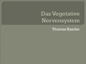 Vegetatives Nervensystem