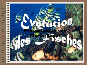 Evolution – Anpassung an wechselnde Umweltbedingungen