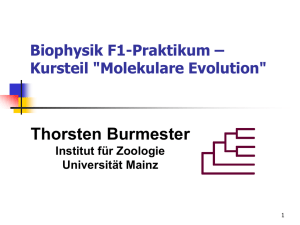 Biophysik_2006
