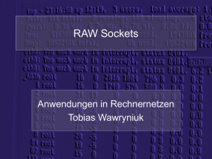 RAW Sockets